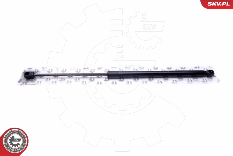 Gas Spring, boot/cargo area